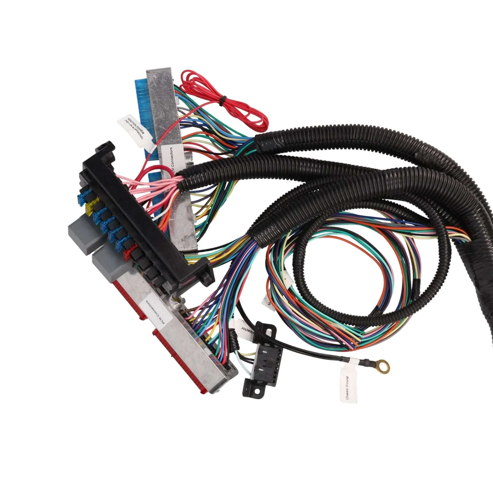 GM LS1 Drive by Cable Engine and 4L60E Transmission Standalone Wiring Harness - Image 4