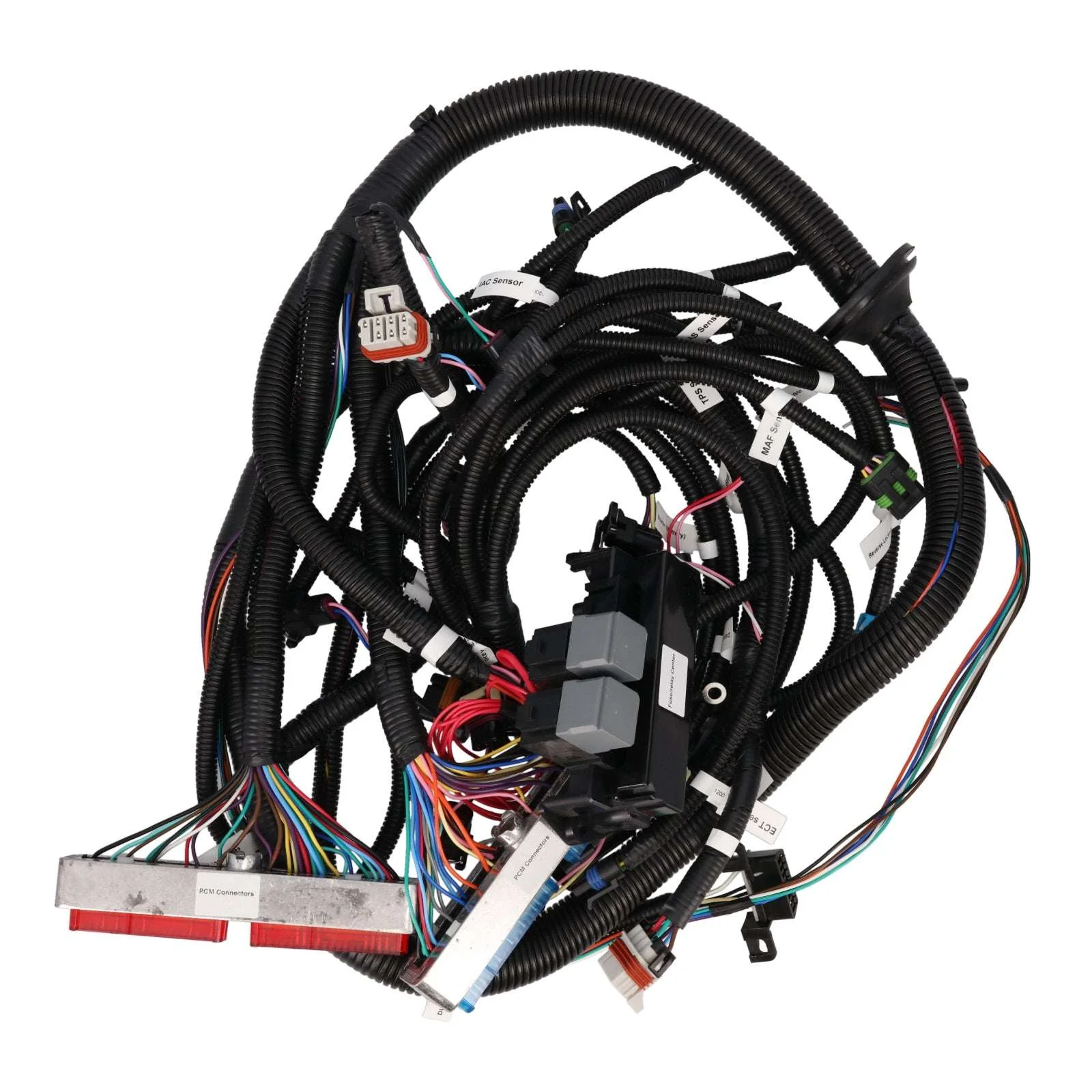 GM Standalone LS1 Drive by Cable Engine and T56 Manual Transmission Wiring Harness - Image 3