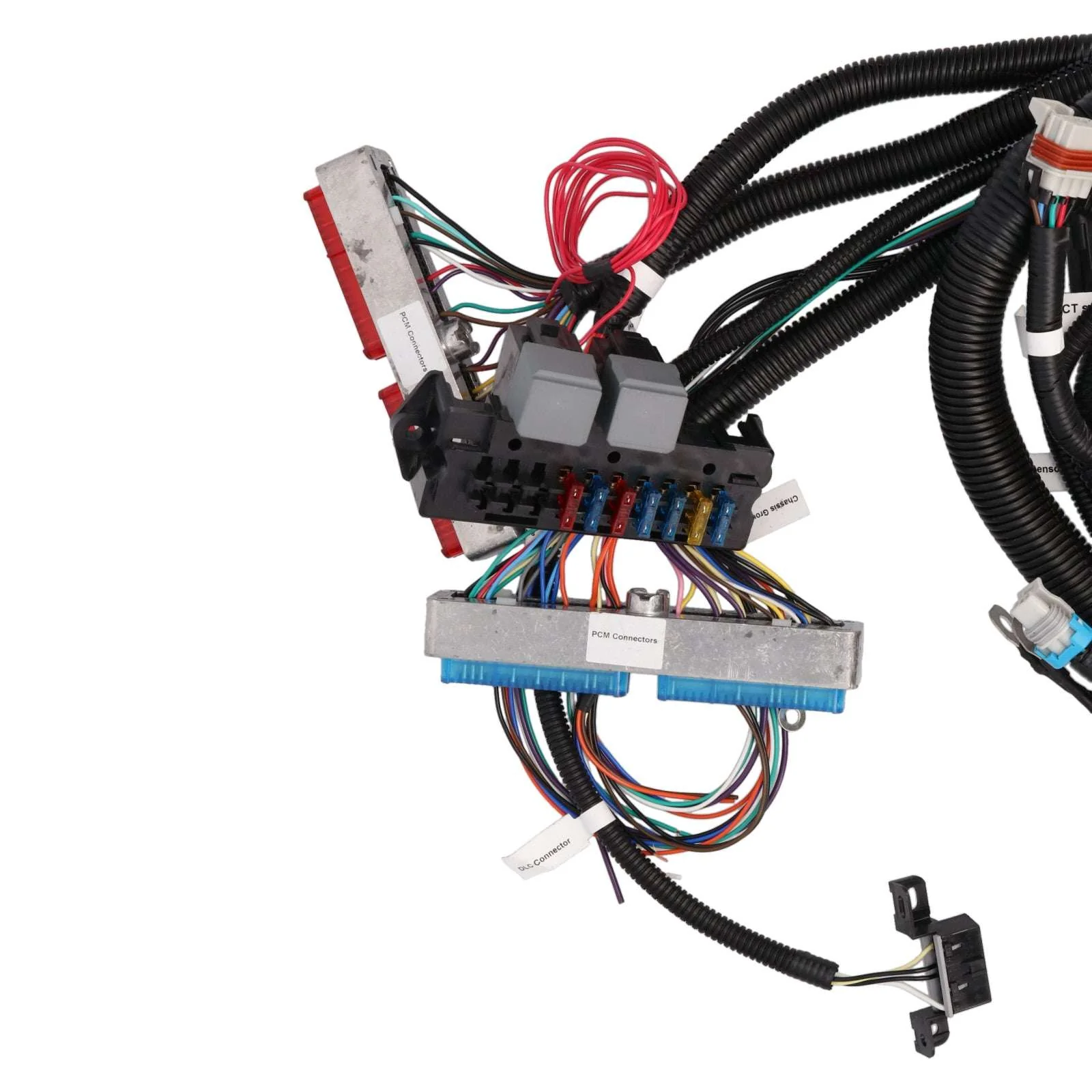GM Standalone LS1 Drive by Cable Engine and T56 Manual Transmission Wiring Harness - Image 4