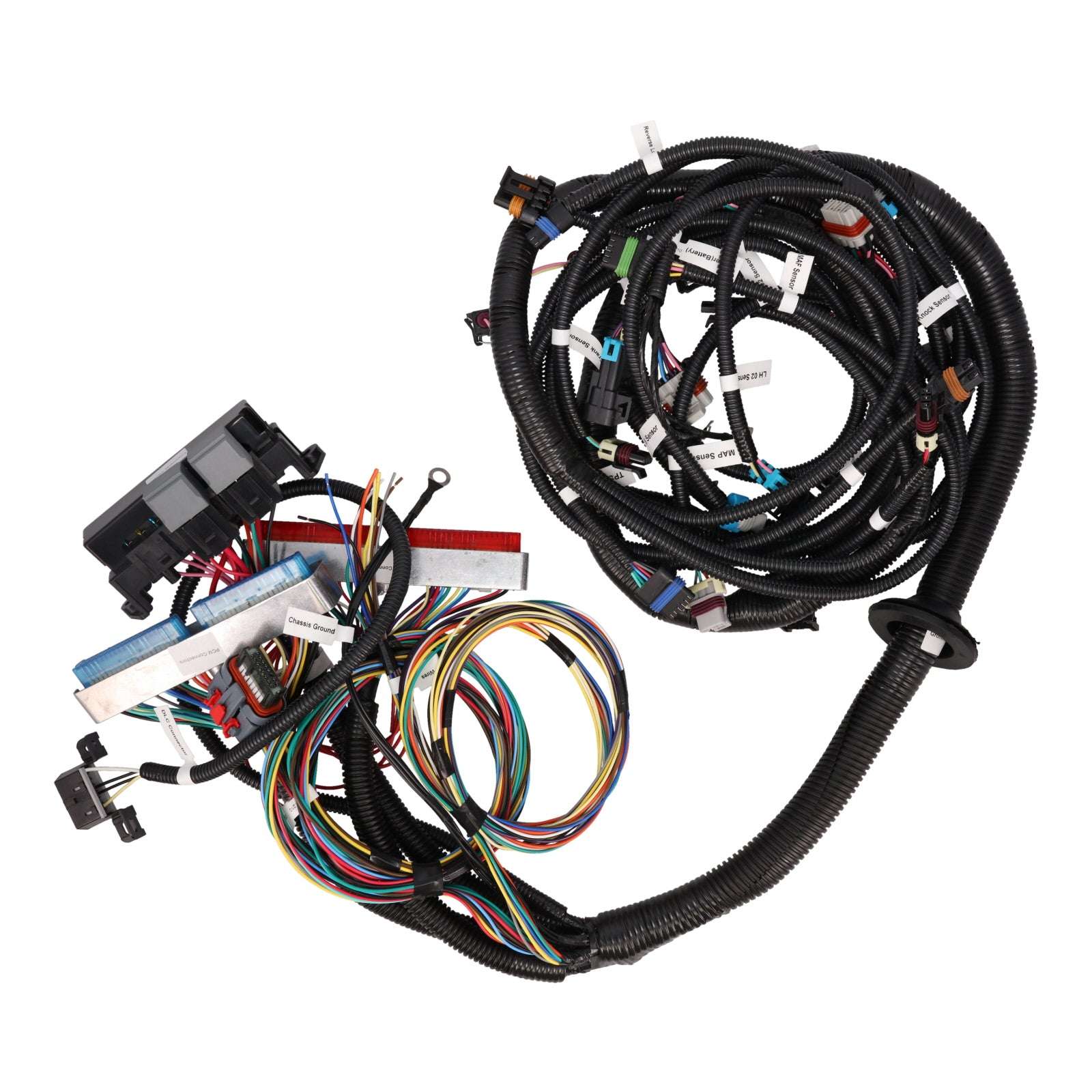 GM Standalone LS1 Drive by Wire Engine and T56 Manual Transmission Wiring Harness - Image 3