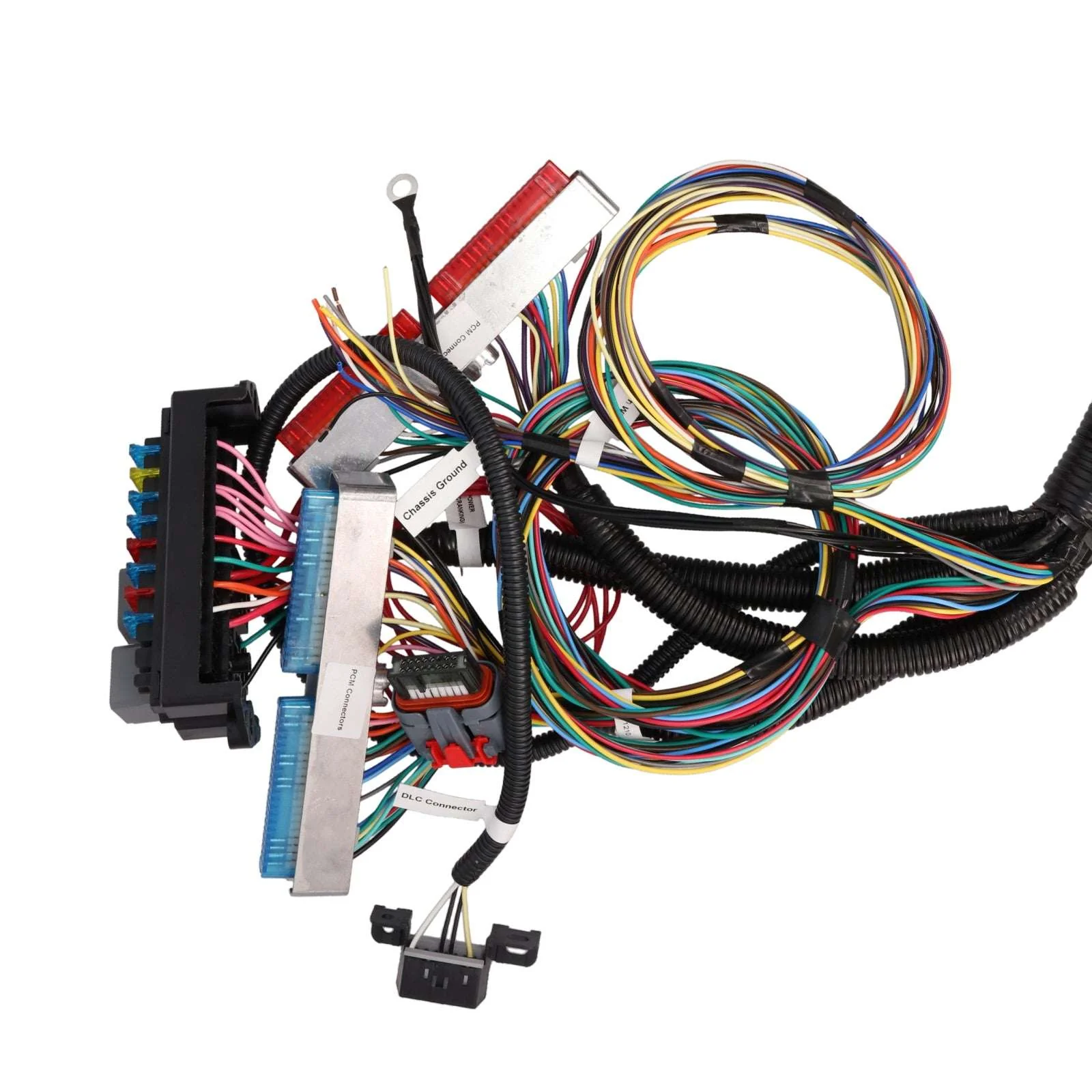 GM Standalone LS1 Drive by Wire Engine and T56 Manual Transmission Wiring Harness - Image 4